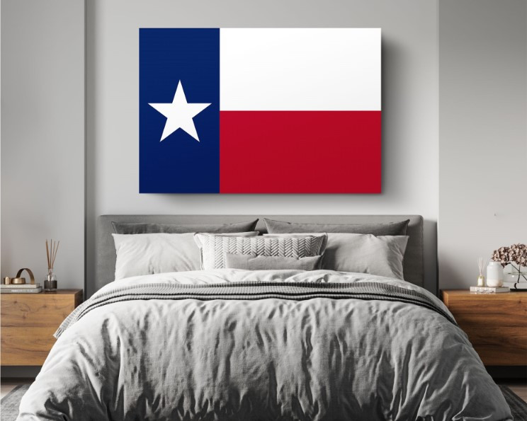 Texas State Flag USA Flags Edition Canvas Wall Art Home Decoration