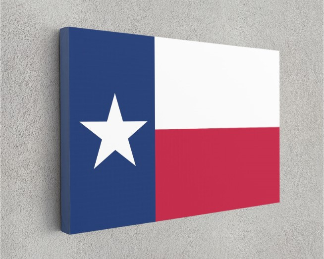 Texas State Flag USA Flags Edition Canvas Wall Art Home Decoration