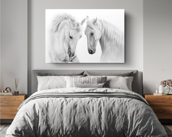 Couple White Horse On White Animal Canvas Print Wall Art Home Decoration