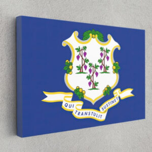 Connecticut State Flag USA Flags Edition Canvas Wall Art Home Decoration