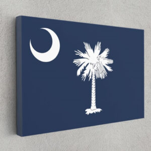 South Carolina State Flag USA Flags Edition Canvas Wall Art Home Decoration