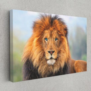 African Lion Wild Life Motivational Animal Arts Canvas Print Wall Art