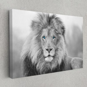 Blue Colored Eye African Lion Motivation Animal Canvas Print Wall Art