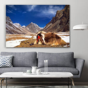 Yak in The Mountains Animal Canvas Print Wall Art