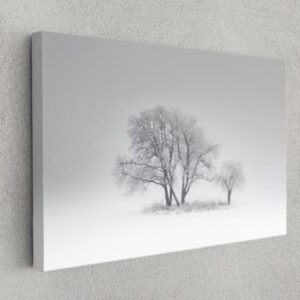Snowy Tree Natural Art Canvas Print Wall Art Home Decoration