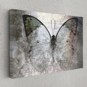Butterfly Effect Wild Life Animals Canvas Print Wall Art Home Decoration