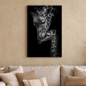 Giraffe and Baby Black and White Canvas Wall Art
