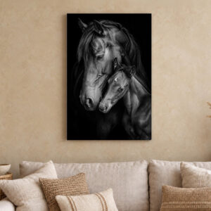 Horse and Foal Black and White Canvas Wall Art