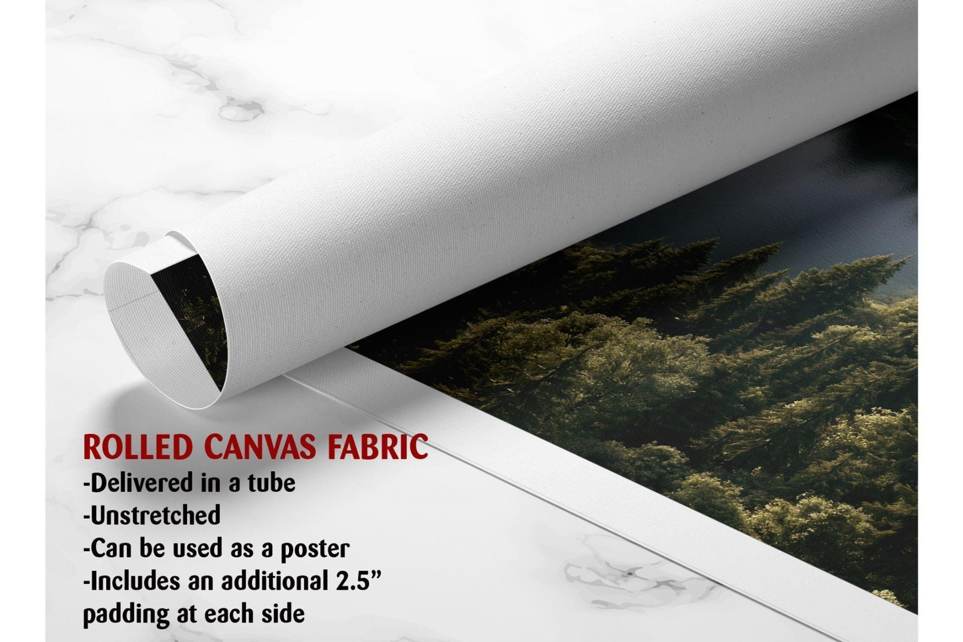 Misty Forest Lake Aerial Canvas Wall Art