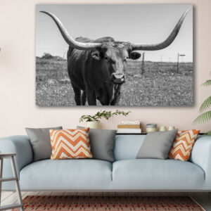 Close Up Longhorn Cow in The Texas Animal Canvas Prints