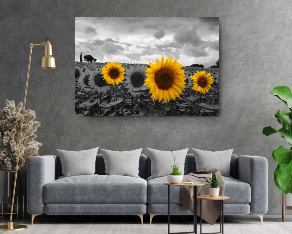 Sunflowers Color Splash Nature Art Canvas Print Wall Art Home Decoration
