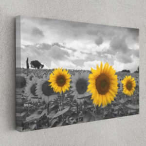 Sunflowers Color Splash Nature Art Canvas Print Wall Art Home Decoration