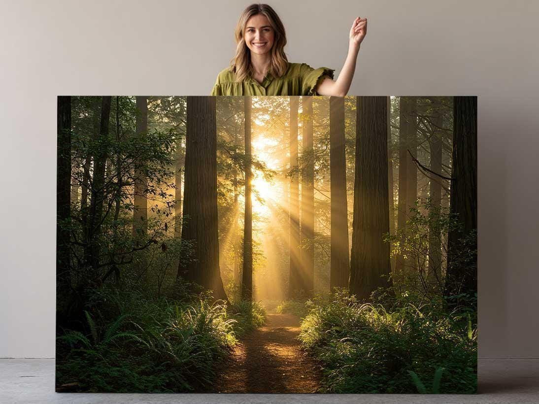 Sunlit Forest Trail Canvas Wall Art