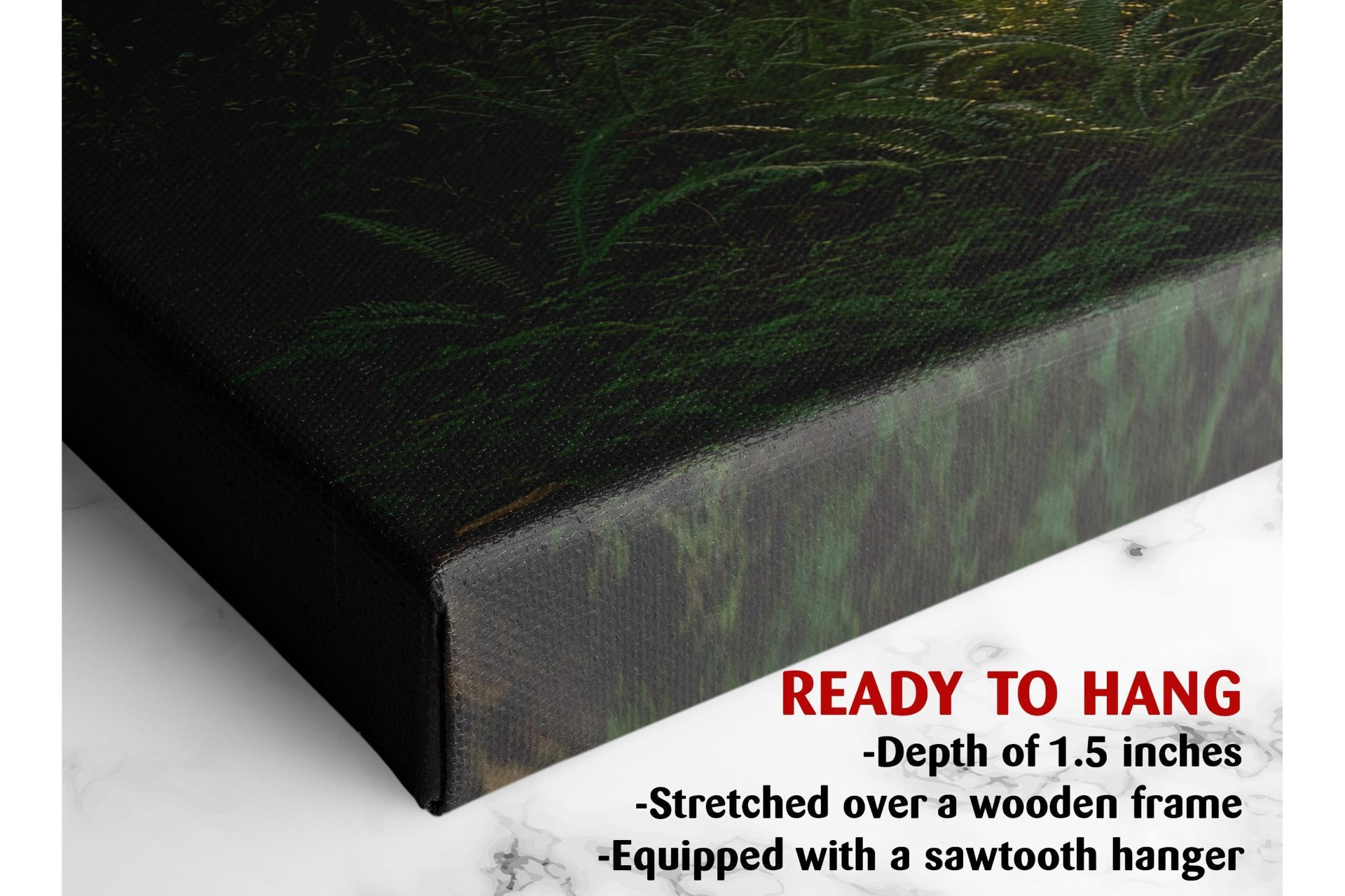 Sunlit Forest Trail Canvas Wall Art